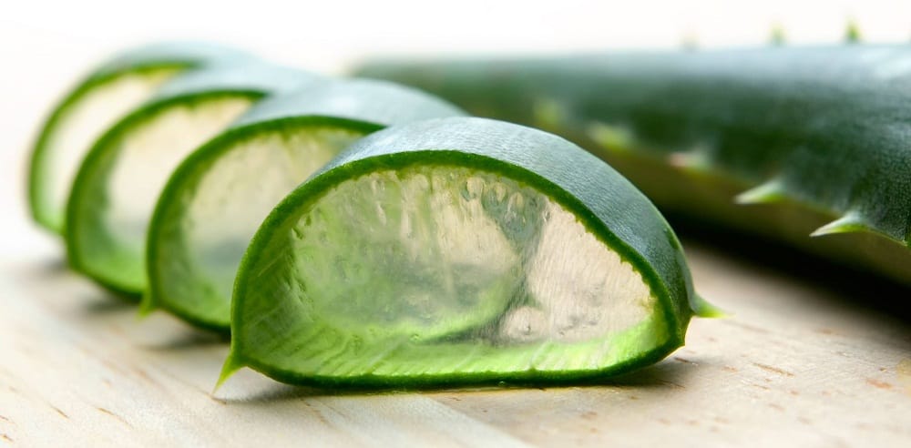 aloe vera for mouth ulcers | MyBeautyGym