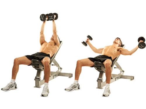 Inclined Dumbbell Fly