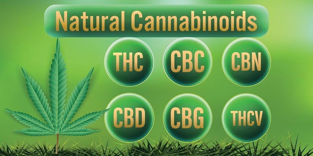 What is the Difference Between CBD and CBG