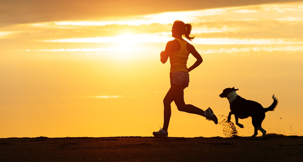 benefits-of-running-with-your-dog-conclusion